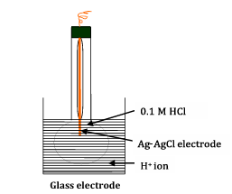 <p>It consists of:</p><ul><li><p>A long glass tube</p></li><li><p>Thin glass membrane bulb at the bottom</p></li><li><p>Internal 0.1 M HCl solution</p></li><li><p>Ag/AgCl internal reference electrode</p></li></ul><p></p>