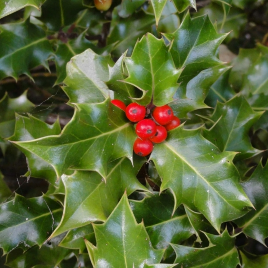 <p></p>
