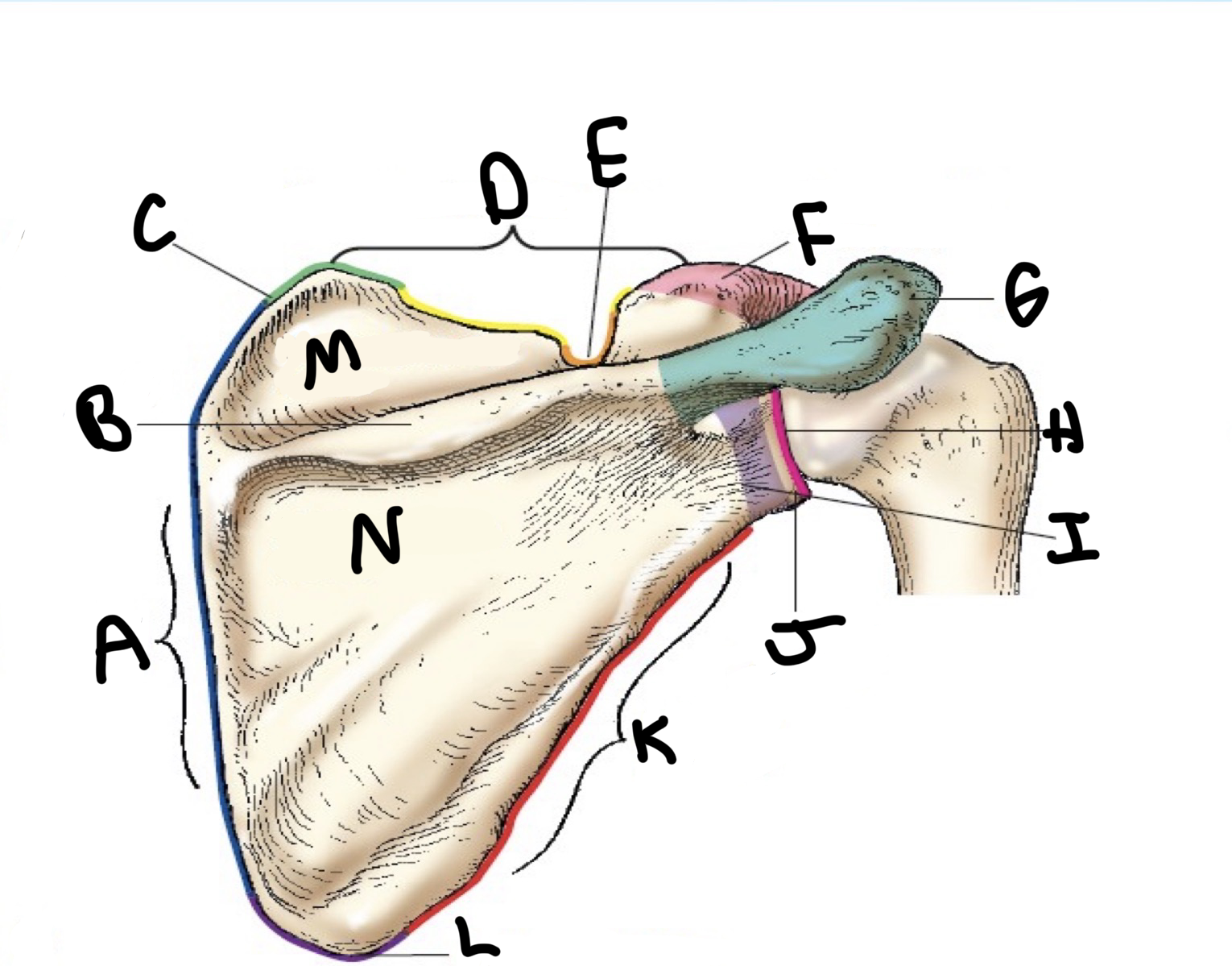 <p>a?</p>