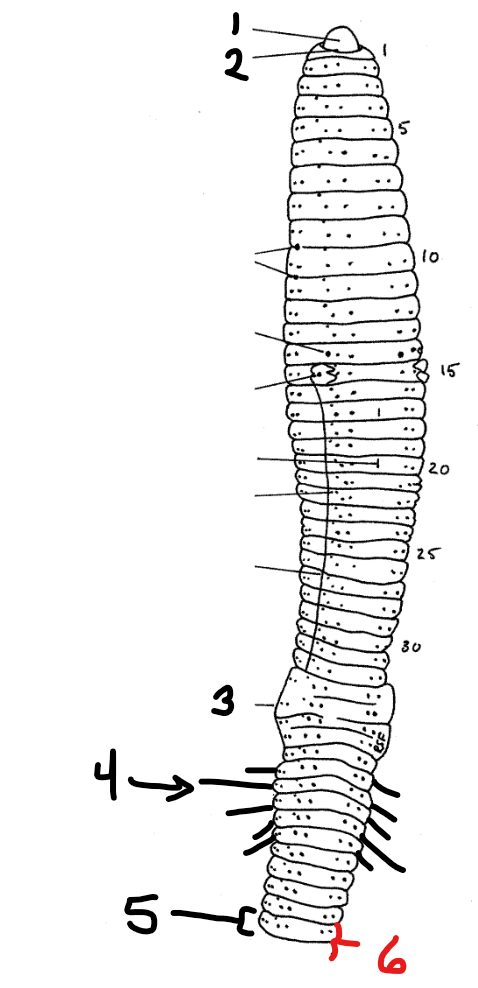 <p>1</p>