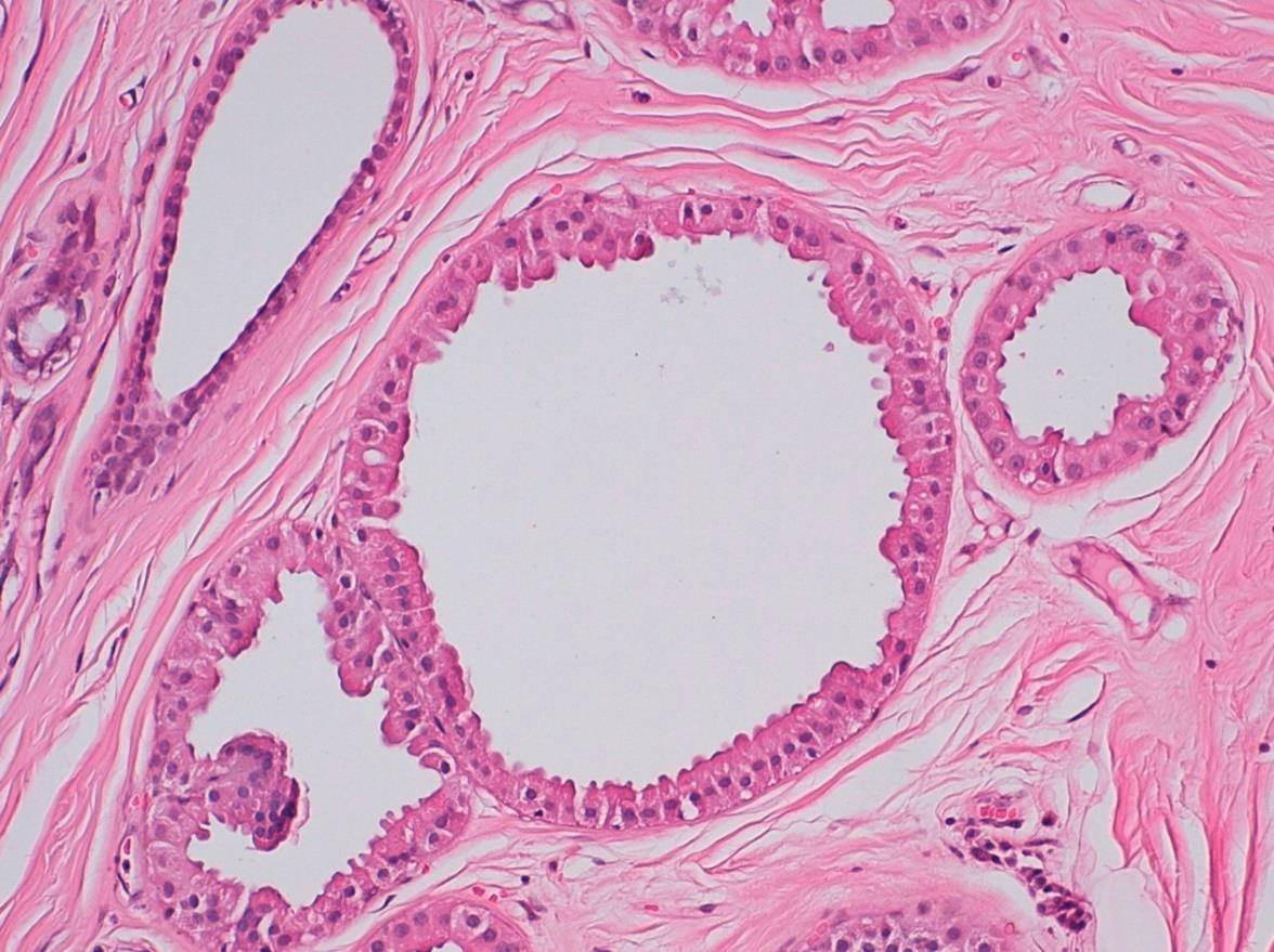 <p></p>