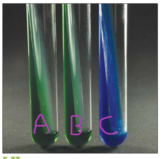 <p>Simmon's Citrate Agar slants</p><p>A= uninoculated, green</p><p>B= Microbe B,&nbsp; green</p><p>C= Microbe C, blue</p><p></p><p></p><p><strong>Which microbe can use citrate as its sole source of carbon and energy?</strong></p><p>&nbsp;</p><p><strong>Which microbe could be <em>Enterobacter aerogenes</em>?</strong></p>