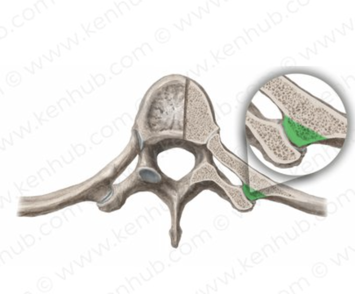 <p>describe whats in the image </p>