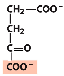<p>What is this structure?</p>