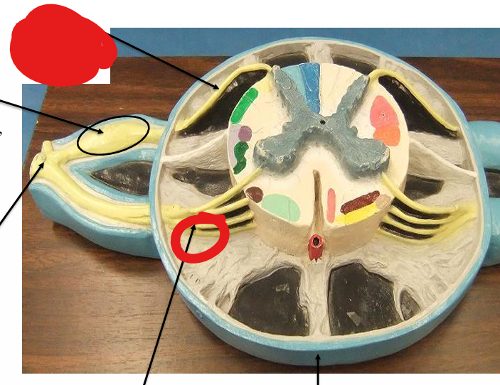 <p>What is this</p>