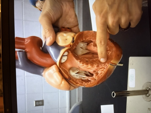 term image