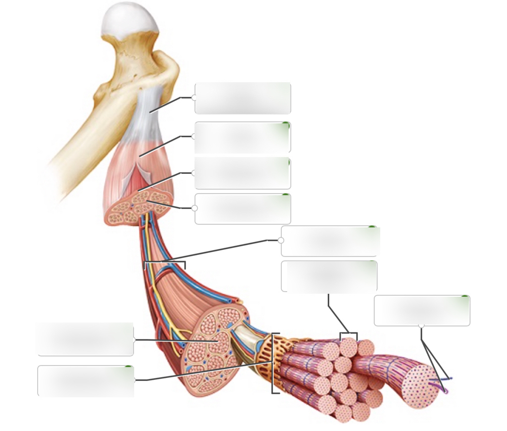 <p>KNOW EACH PART</p>