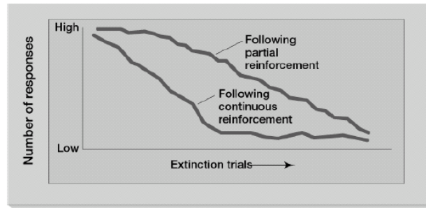 <ul><li><p>Extinction of an operantly conditioned behaviour occurs when reinforcement is withheld. </p></li><li><p>Not immediate - sometimes there is a brief increase in responding referred to as an extinction burst followed by decrease in trained behaviour.</p></li><li><p>The figure shows that responses that have been reinforced on a partial schedule will be slower to extinguish than those reinforced continuously</p></li></ul><p></p>