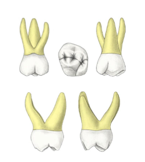 <p>?</p>