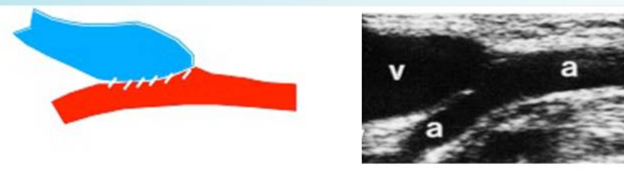 <p>what is this? </p>