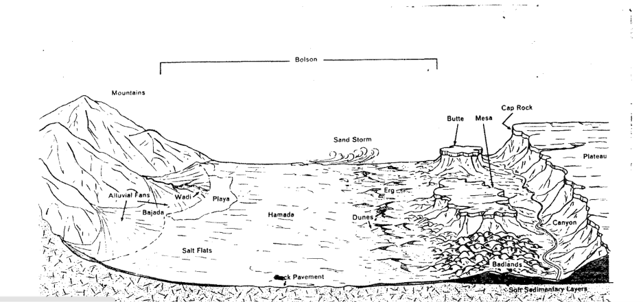 <p>butte is taller than it is wide, mesa is wider than it is tall</p>