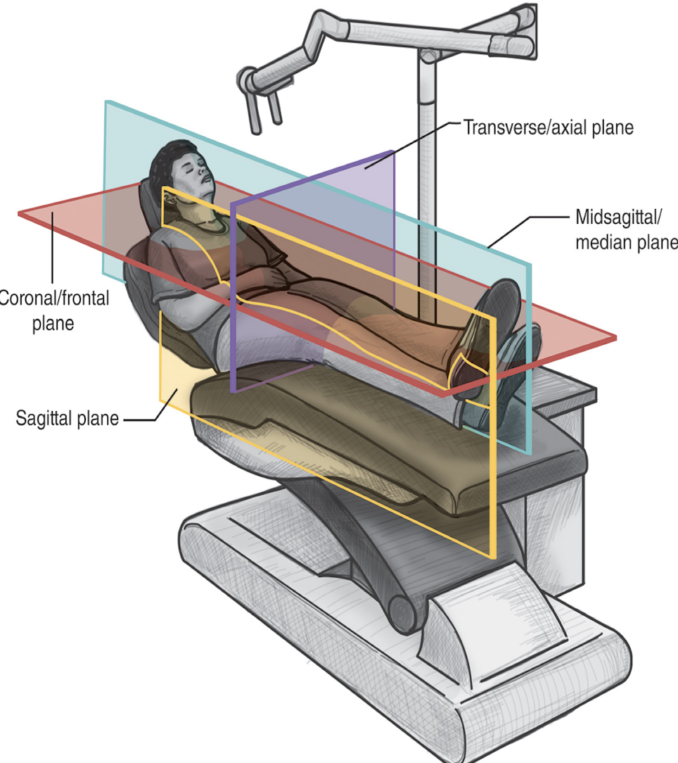 <p>Divides the body parallel or equidistant to the midsagittal plane in same lengthwise manner</p>