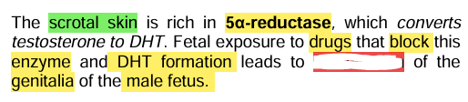 <p><strong><u>Physiological actions: </u></strong><span style="color: yellow;"><strong><u>Pre</u></strong></span><strong><u>natal development</u></strong></p>