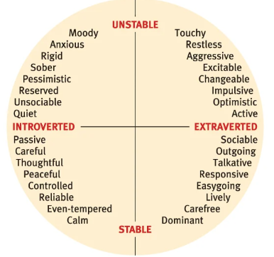 <p>longer questionnaires covering a wide range of feelings and behaviors- asses multiple traits at once</p><p>ex) the Minnesota multiphasic personality inventory (MMPI)</p>