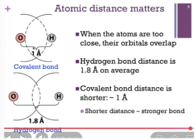 <p><span style="background-color: transparent;">Compared to a hydrogen bond, for a covalent bond, there’s a greater degree of overlap, so the distance between the nuclei are about the order of 1 angstrom. RECALL SHORTER distance = stronger bond.&nbsp;</span></p><p><br></p>