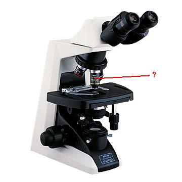 <p>Identify the indicated part of the microscope</p>