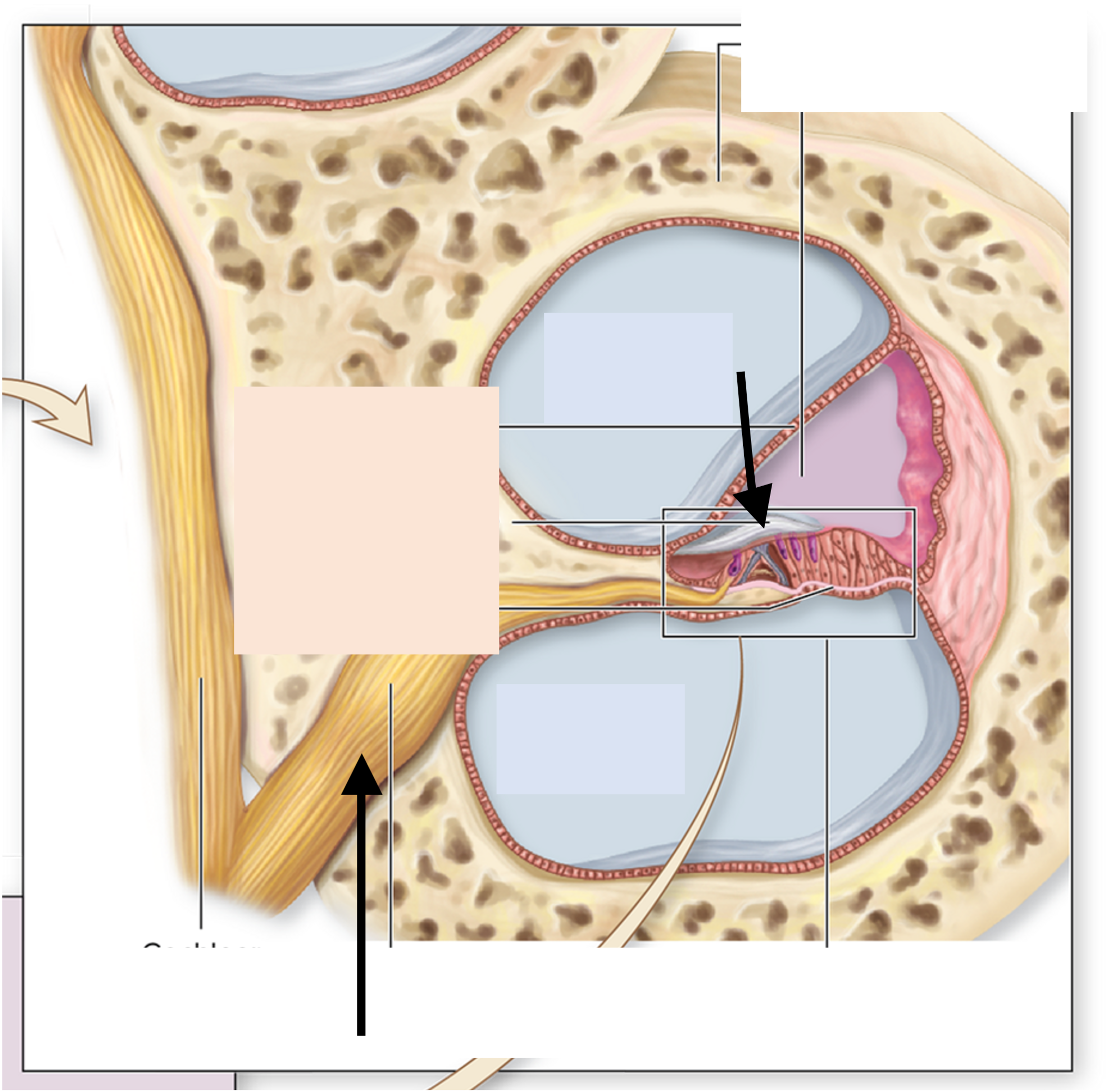<p>ID the structure</p>