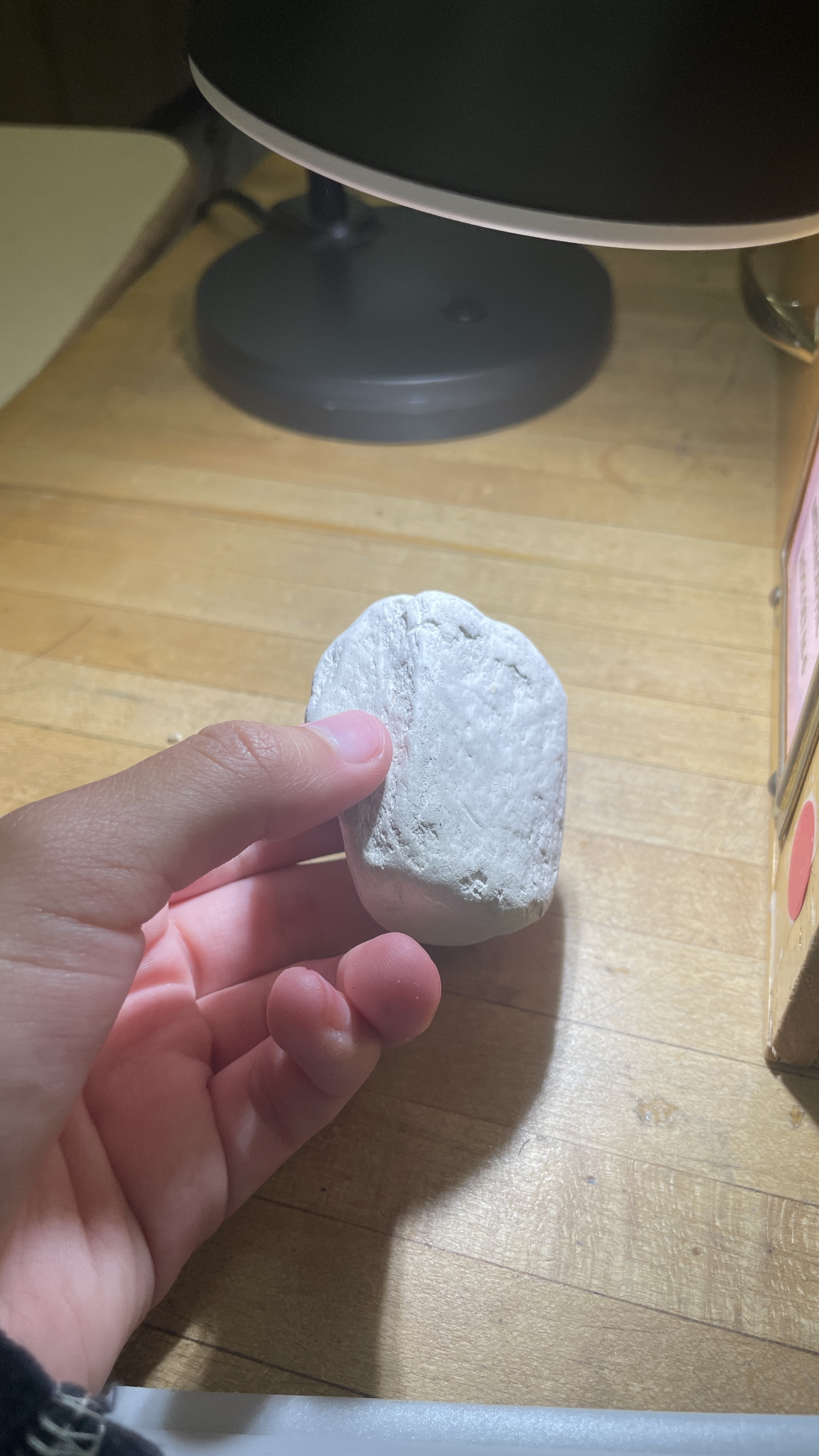 <p>Diatomite</p>