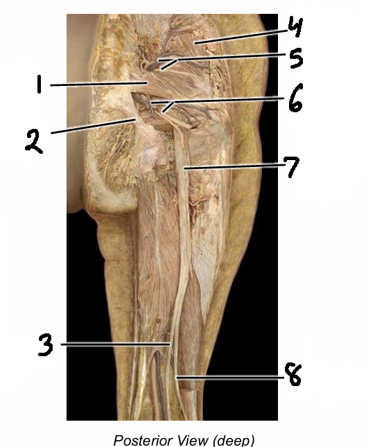 <p>7</p>