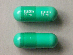 <p>Clindamycin</p><p>Lincosamide Antibiotic</p><p>Bacterial Infections</p>