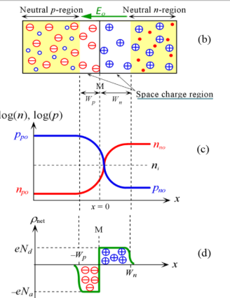 <ul><li><p>region near a p-n junction depleted of mobile carriers, leaving behind fixed charged ions.</p></li><li><p>contains net charge from immobile ions</p></li><li><p>creates the electric field</p></li></ul><p></p>