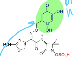 <p>Just one ring. Target PBP and beta-lactamases, ending to drug-protein complexes</p>