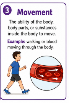 <p>The ability of the body, body parts, or substances inside the body to move.<br>Example: Walking is body movement, while the heart moves blood through the body.</p>
