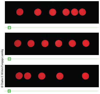 <p>Which set of photos shows a positive acceleration?</p>