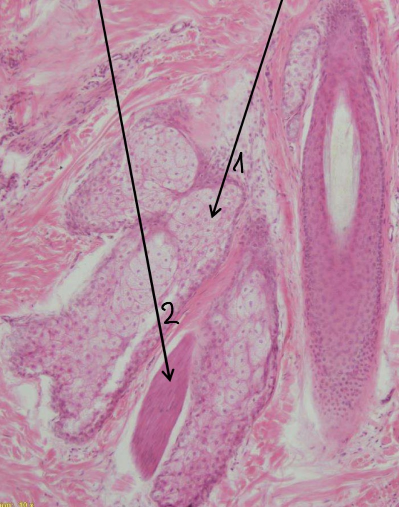 <p>2</p>