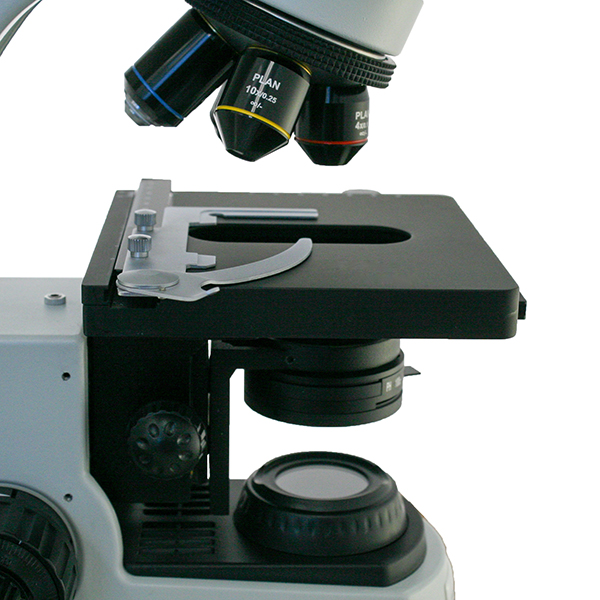 <p>illuminates the specimen with a beam of light</p>