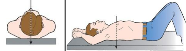 <p>Name the position and the projection?</p>