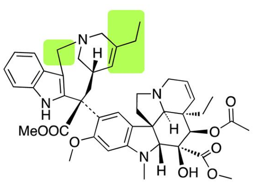 <p>[CELL CYCLE SPECIFIC AGENTS]</p><p>a. Topotecan</p><p>b. Irinotecan</p><p>c. Predinisone</p><p>d. Hydroxyurea</p><p>e. Bleomycin</p><p>f. Etoposide</p><p>g. Teniposide</p><p>h. Paclitaxel</p><p>i. Docetaxel</p><p>j. Vincristine and Vinblastine</p><p>k. Vinorelbine</p>