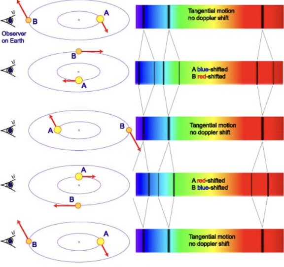 <p>Binary star detected through <strong>Doppler shifts in spectral lines</strong>.</p>
