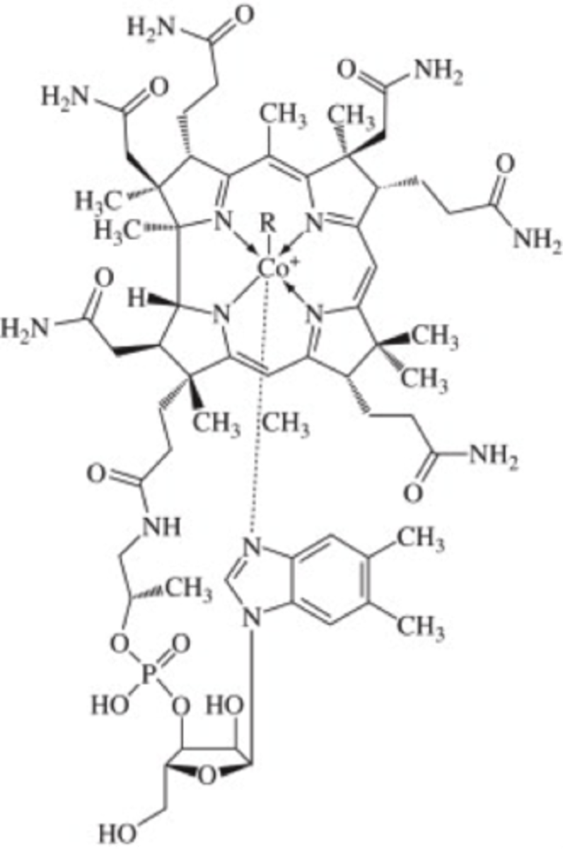 <p>Necessary for red blood cell formation and neurological function.</p>