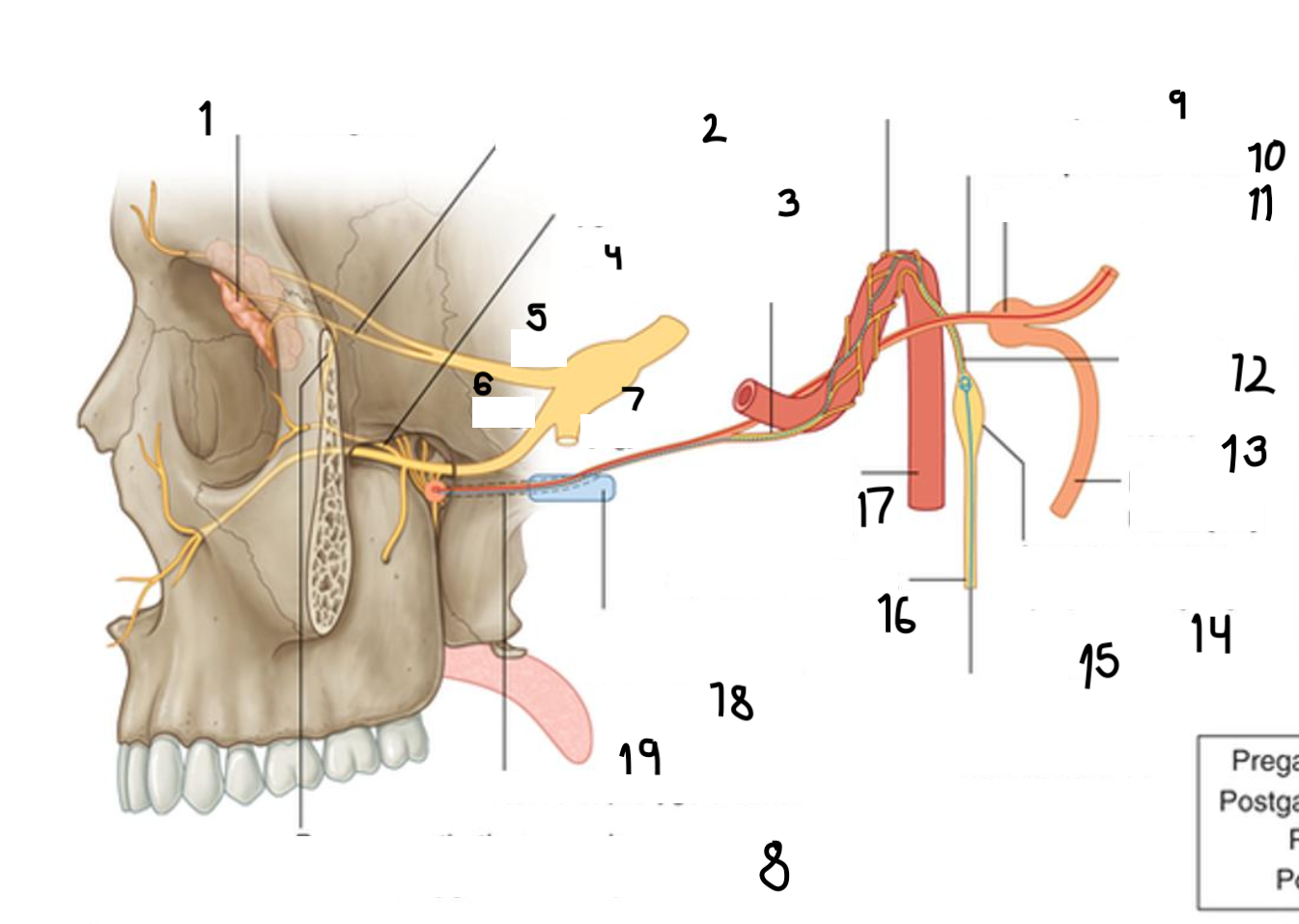 <p>6</p>