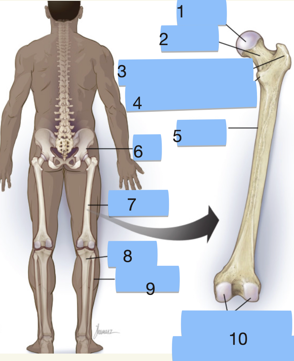 <p>label terms 6-10</p>