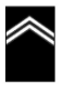 <p>2 chevrons</p>