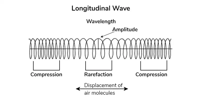 <p>Longitudinal Waves</p>