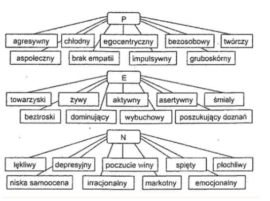 <ul><li><p>Psychotyczno </p></li><li><p>Ekstrawersja </p></li><li><p>Neurotycznoś</p></li></ul><p></p>