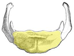 <p>what is this ? R/L </p>