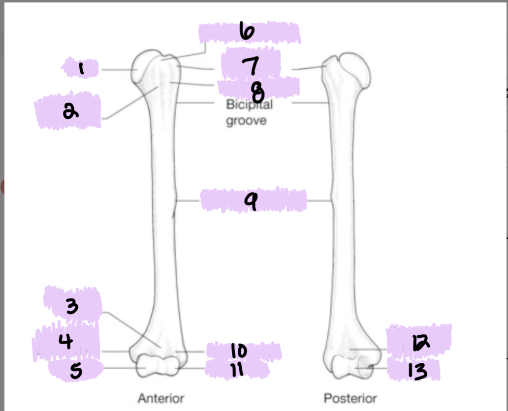 <p>What is 7?</p>