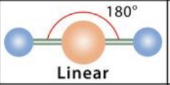 <p>linear, 180</p>