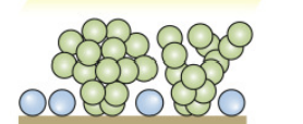 <p>Why multicellularity? (1/10)</p><p>Competitive …</p>