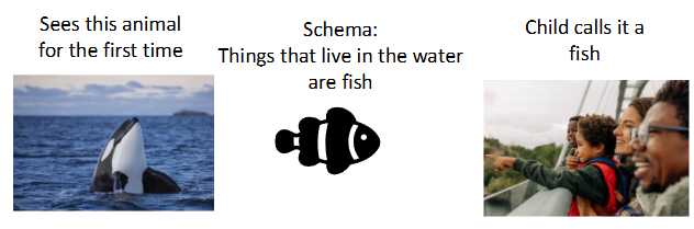 <p>Incorporate new information into an existing schema</p>