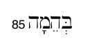 term image