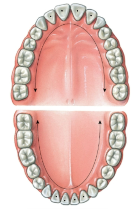 knowt flashcard image