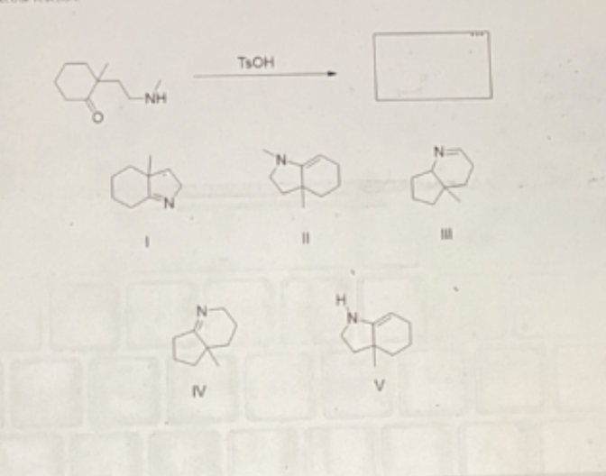 <p>Product of the intramollecular reaction</p>