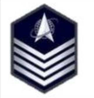 <p>USSF Enlisted Ranks</p>