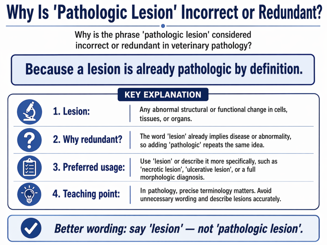 <p><span>Correct Answer: B. </span></p><p><span>Pathology is the study of disease, and a lesion is defined as a structural abnormality in a tissue or organ. Because every lesion is, by definition, a pathologic deviation from normal homeostasis, saying "pathologic lesion" is redundant. </span></p>