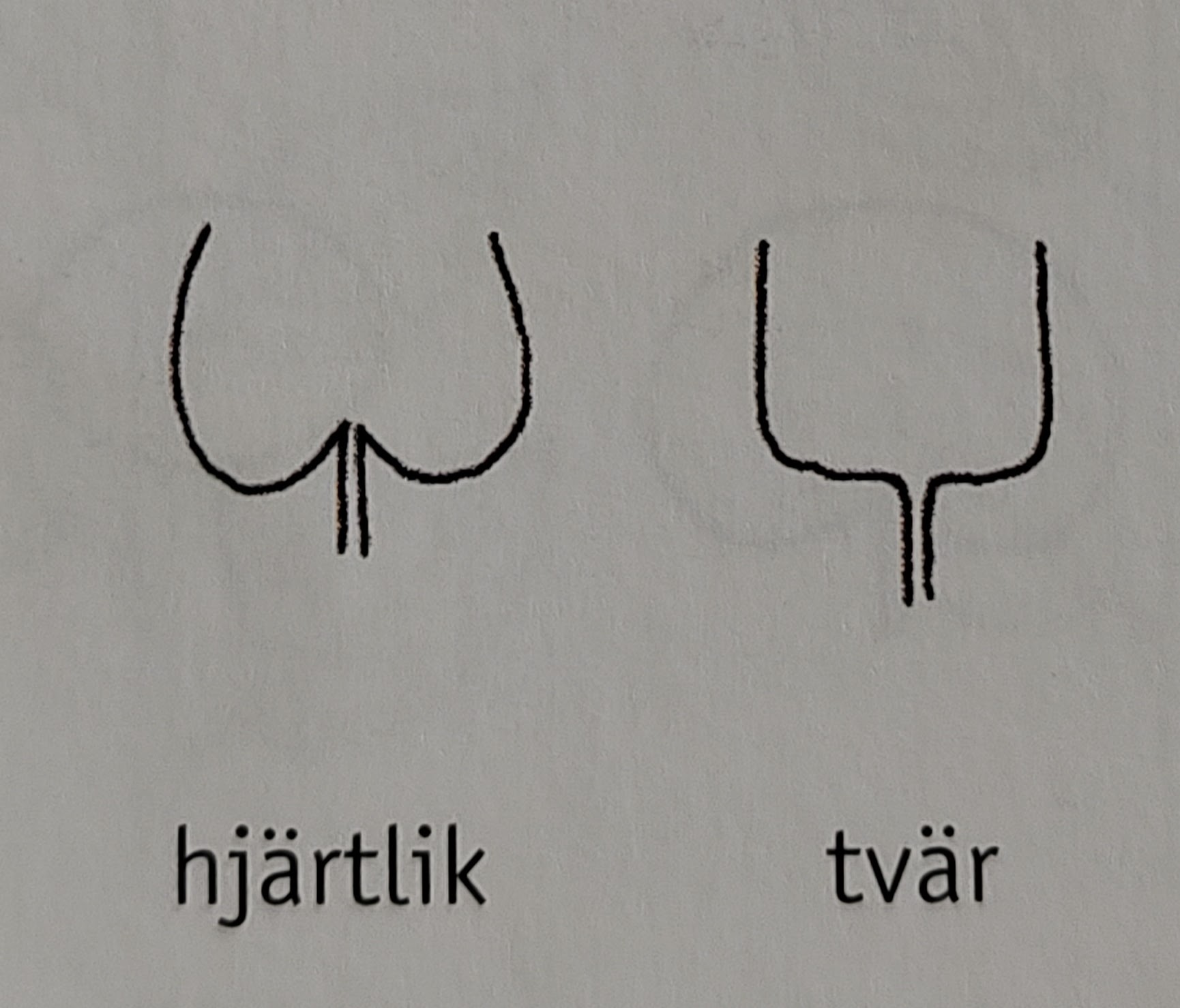 <p></p>